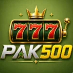 PAK500 Game