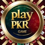 Play PKR Game