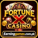 Fortune X Casino
